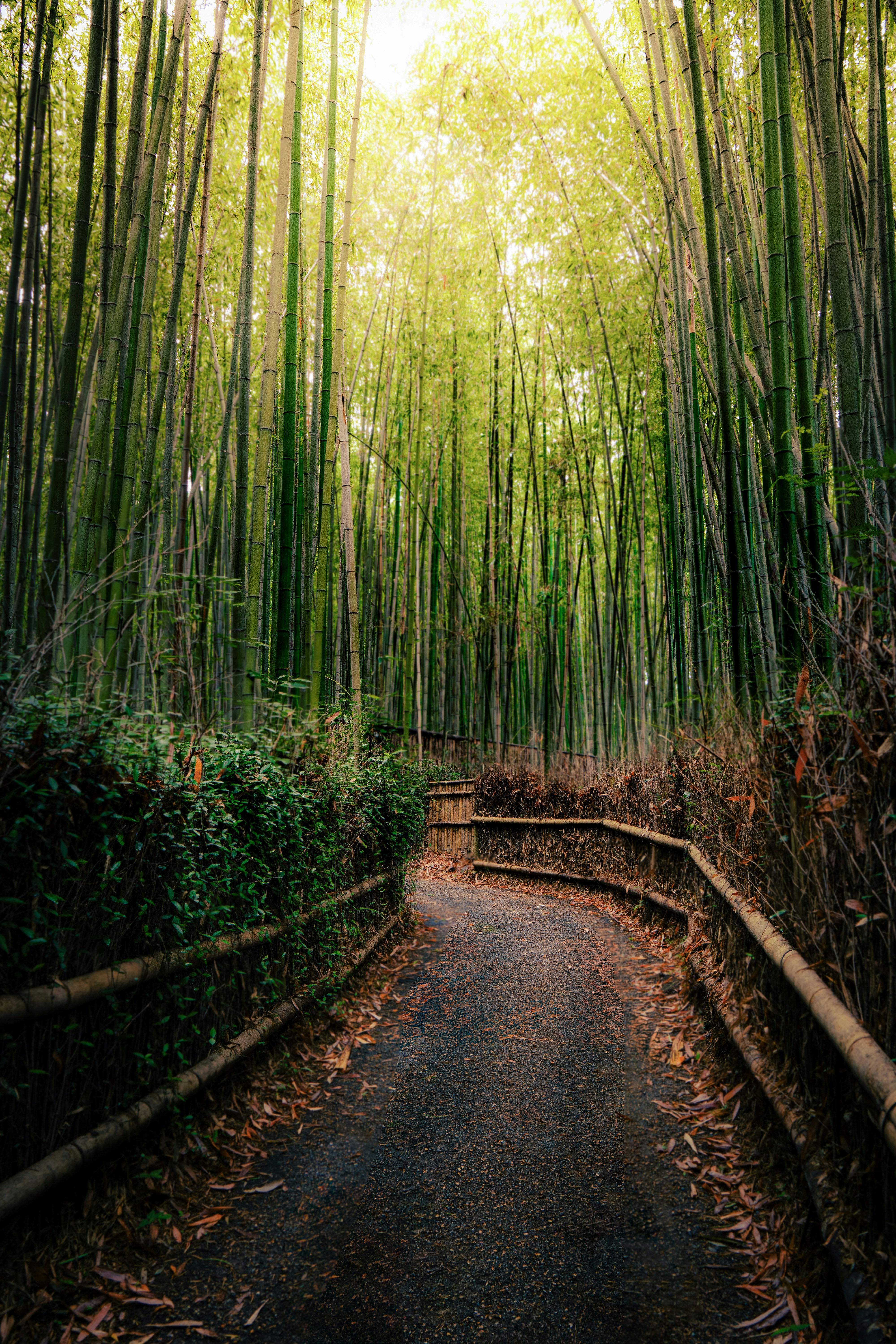 Arashiyama