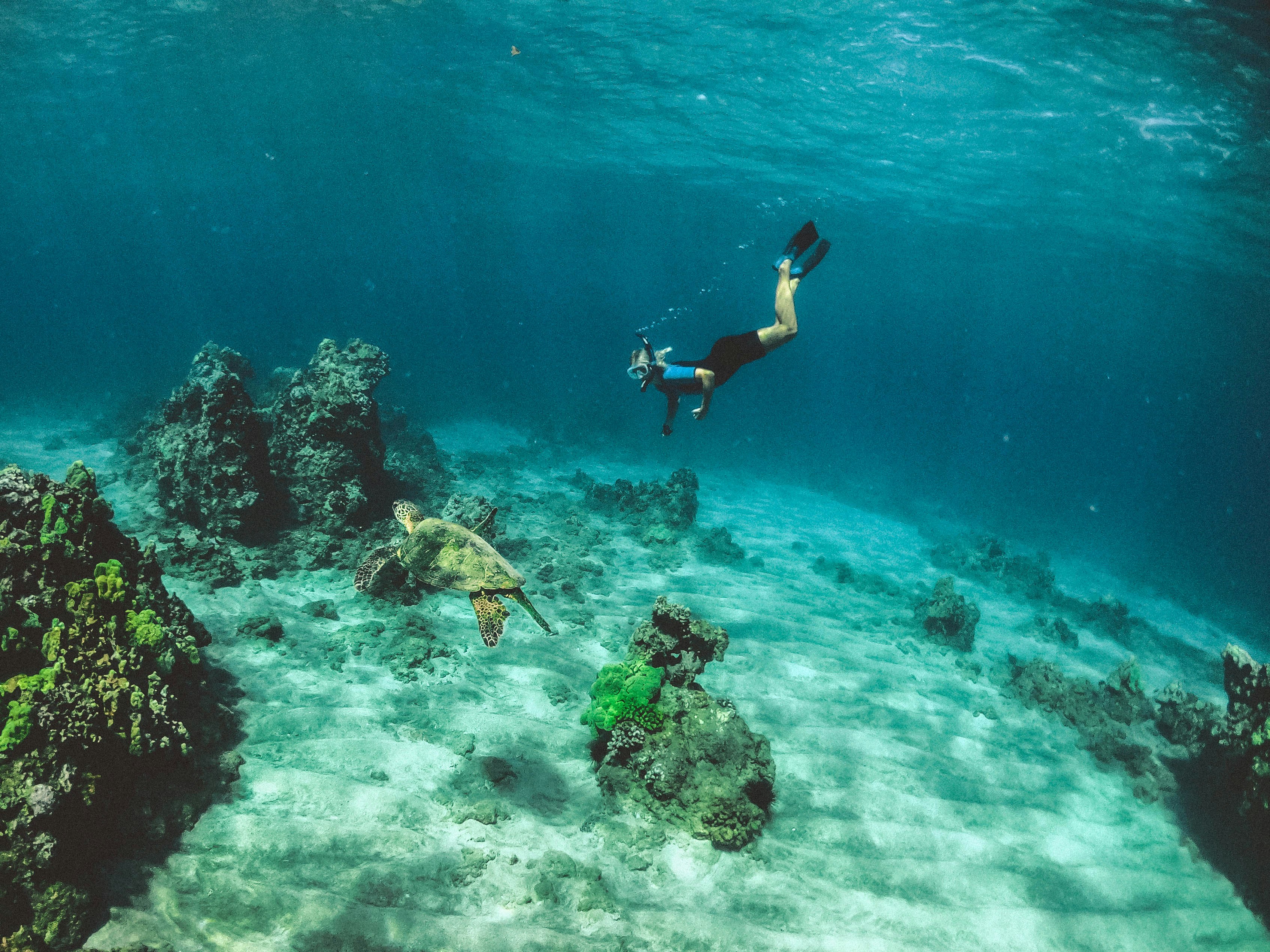 Dive & Snorkel