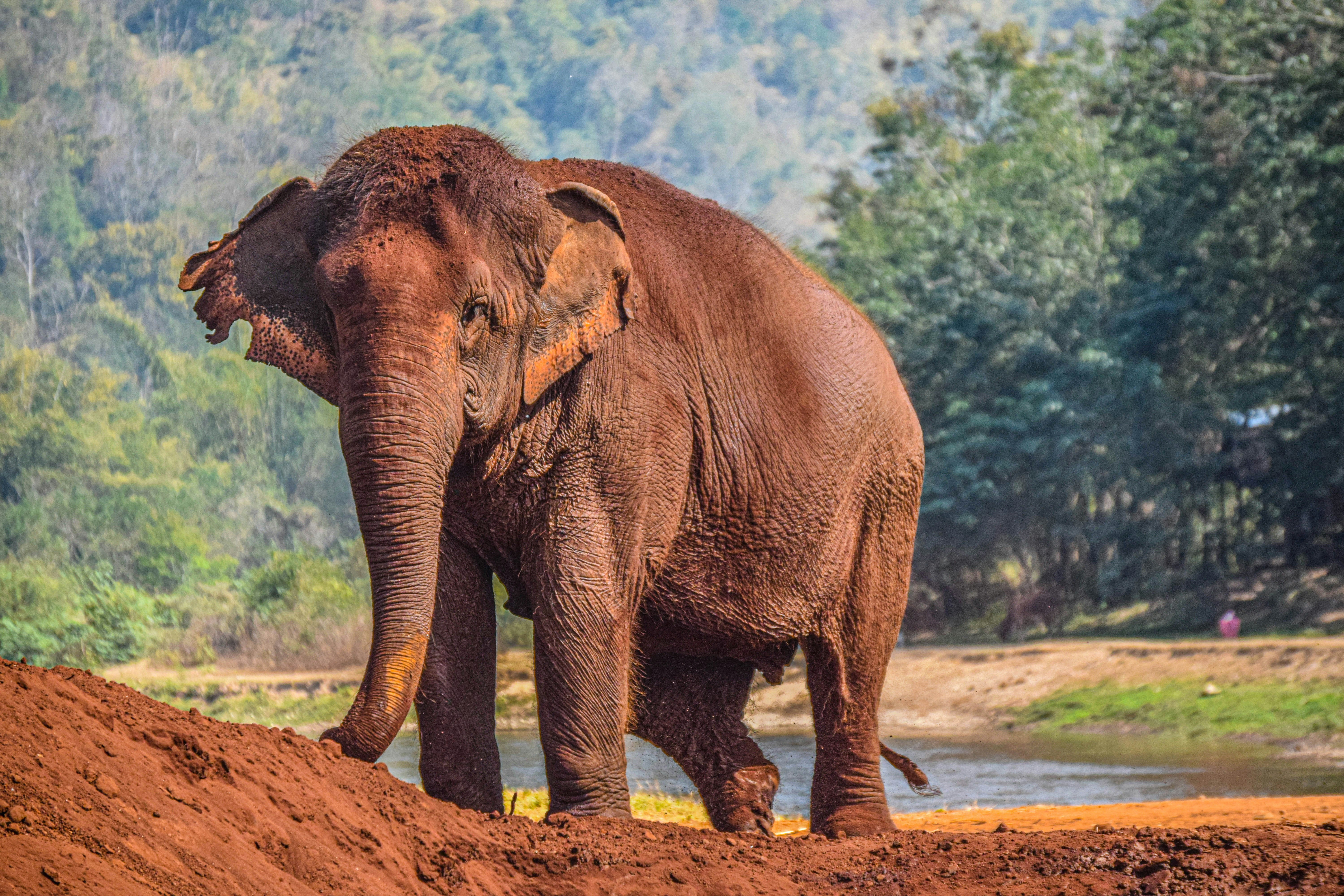 Ethical Sanctuaries