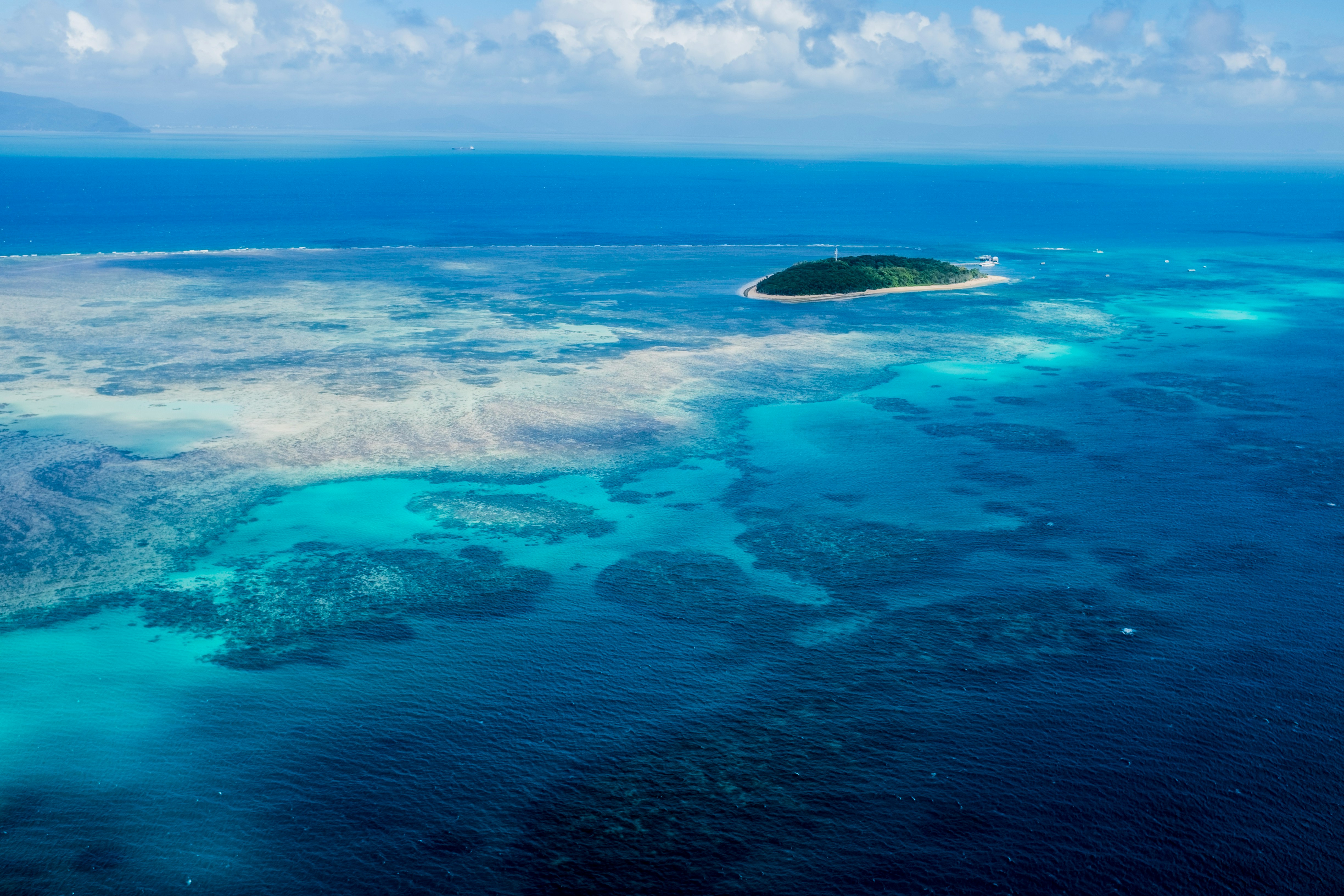 The Reef